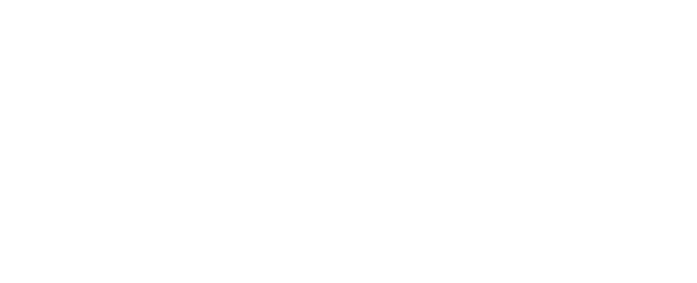 Visit Dyer County Logo
